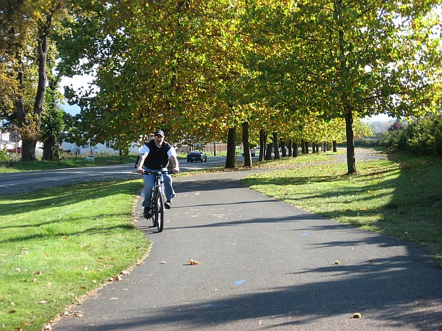 fall3&ridetrail.jpg