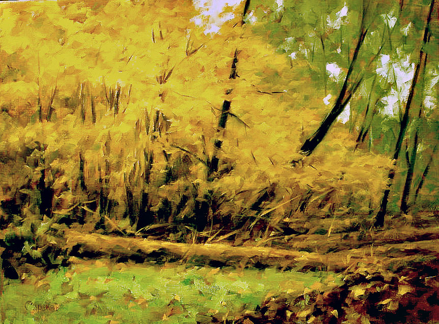 FALL
                  & Hoh Rvr 970.JPG