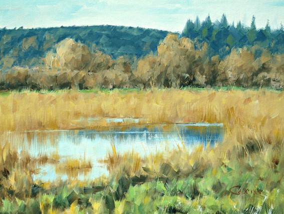 Nisqually wildlife R