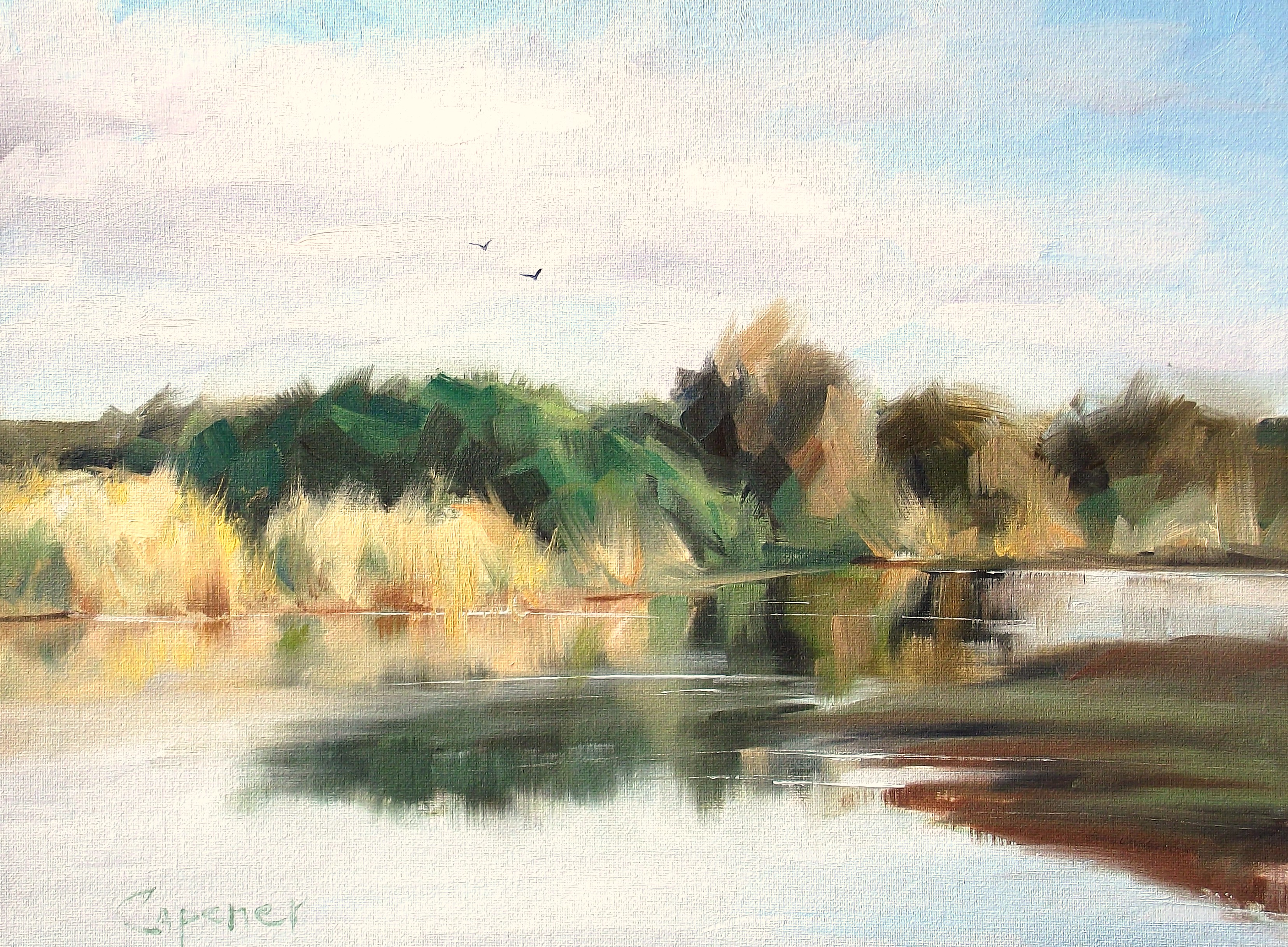 Nisqually #1
            (3)
