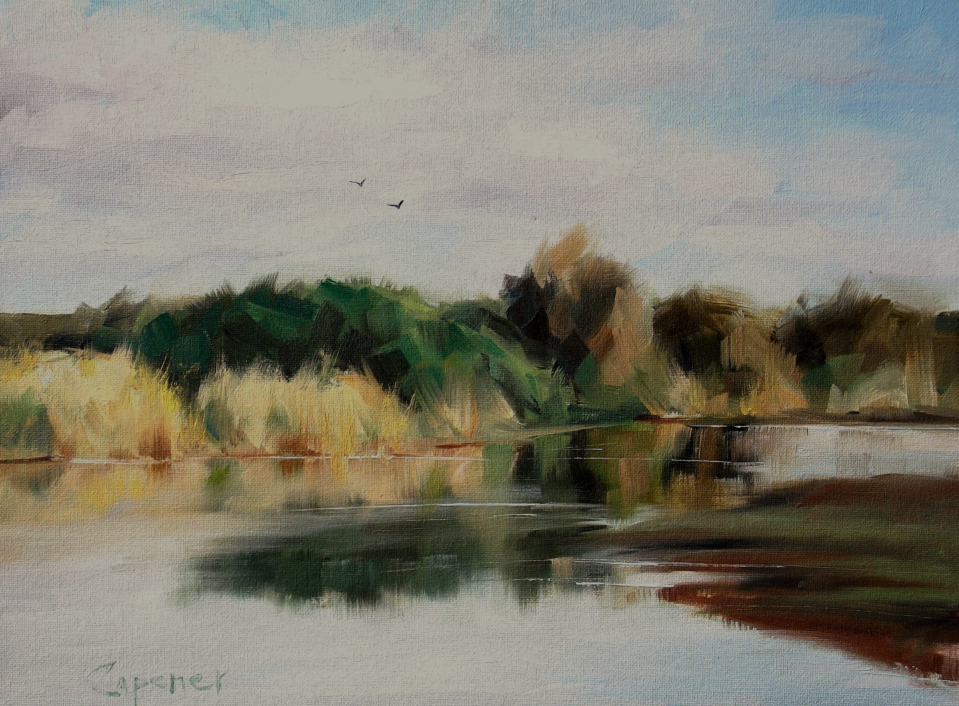 Nisqually pond 2
            changed 1000