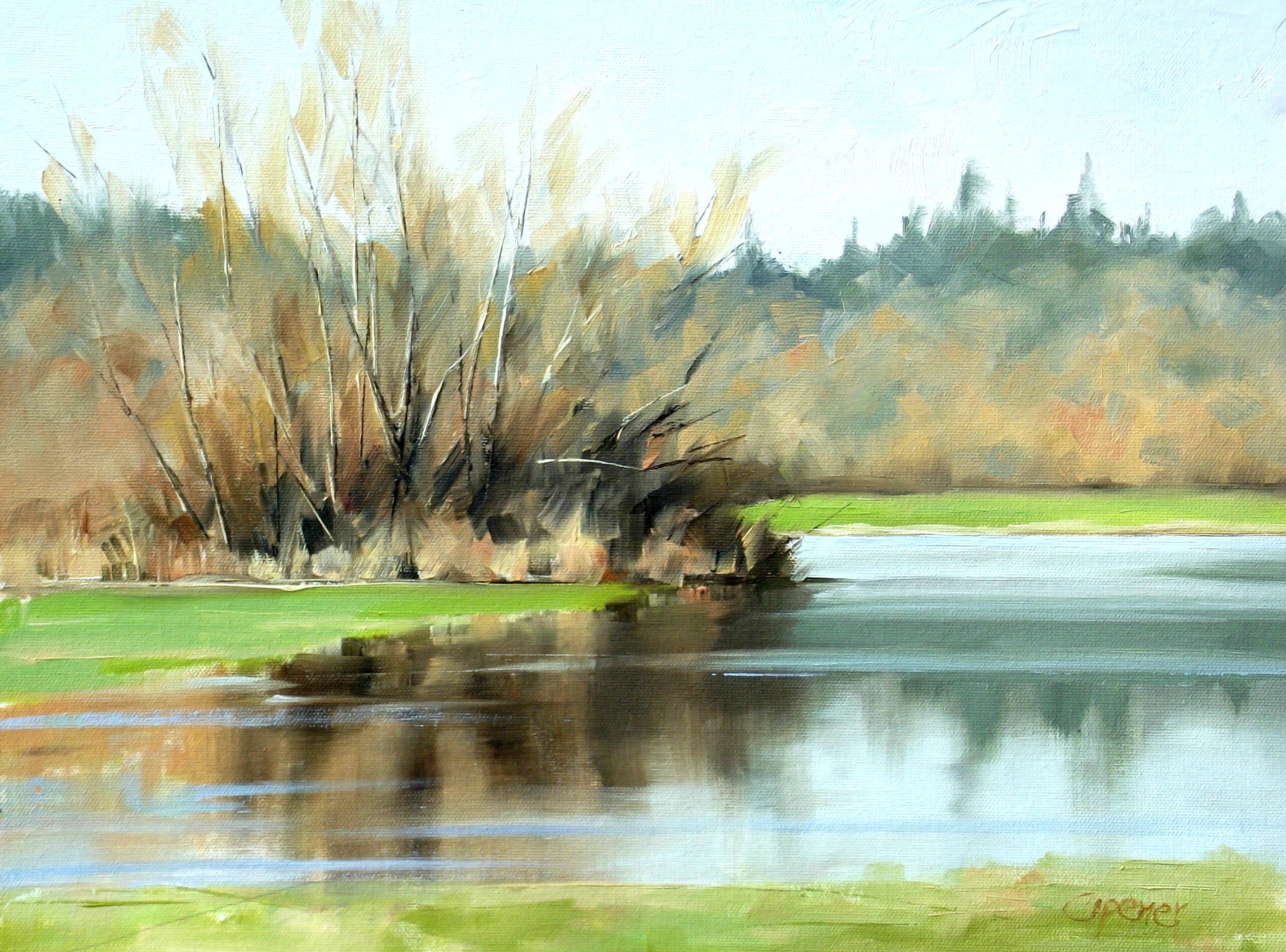 nisqualy Wet
        479.JPG